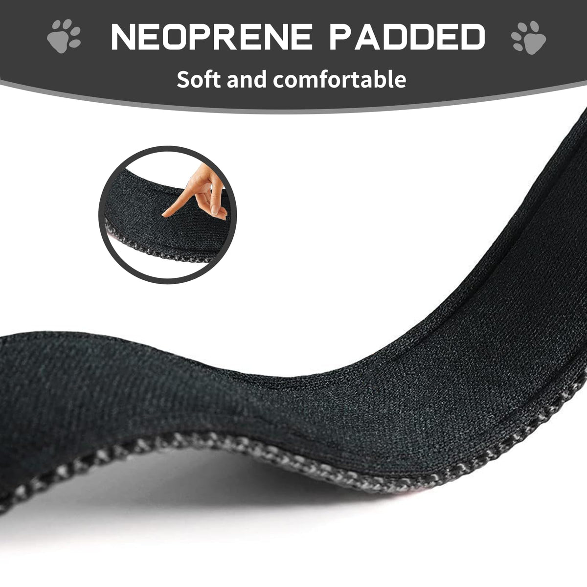 kazazoo Leash in M, collar