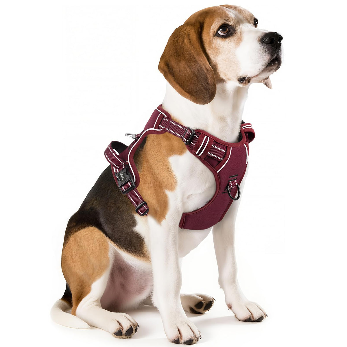 HEELE Animal Harness in M, Burgundy Red