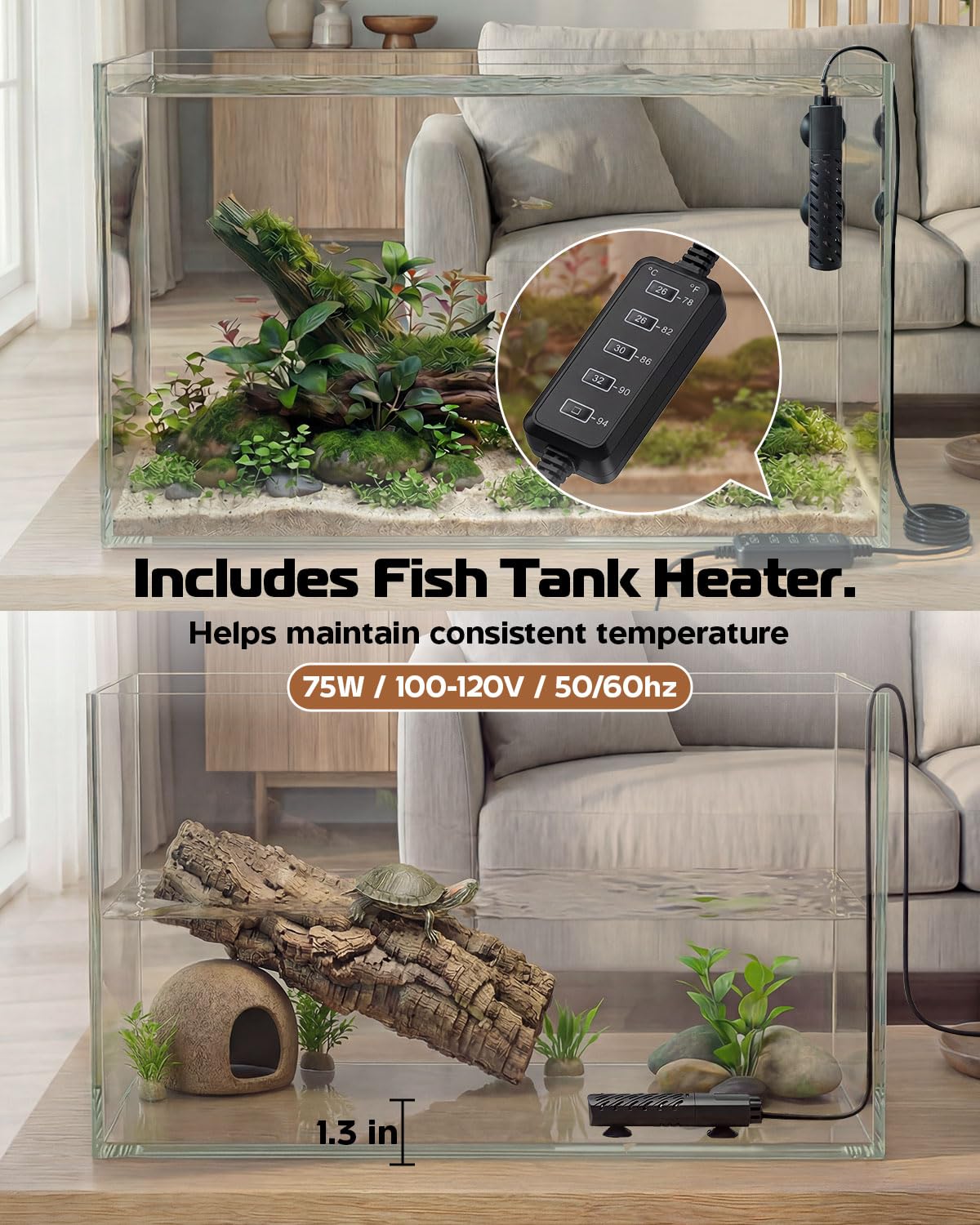 minilake Vivarium in 10 Gallon, Transparent