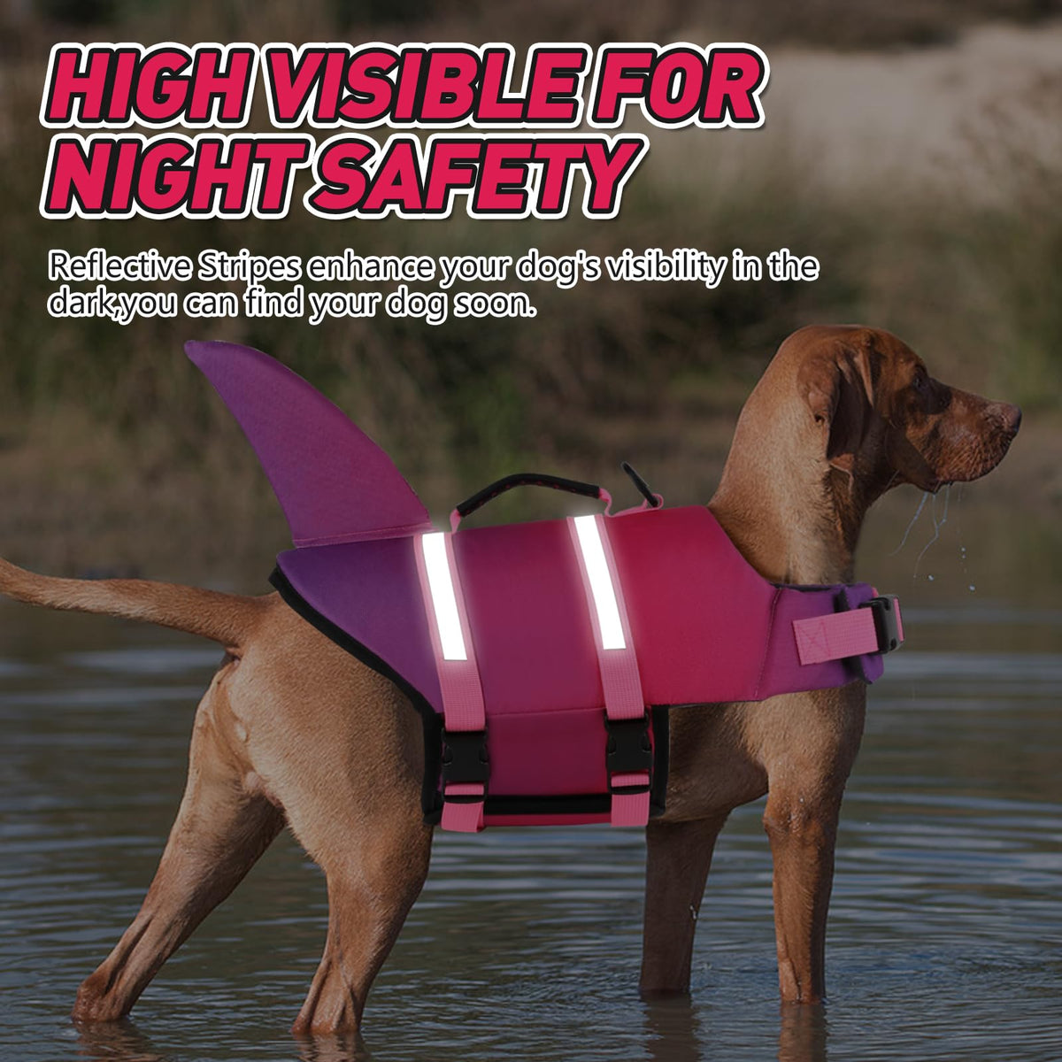 Doglay Pet Apparel in X-large, Gradient Pink Purple