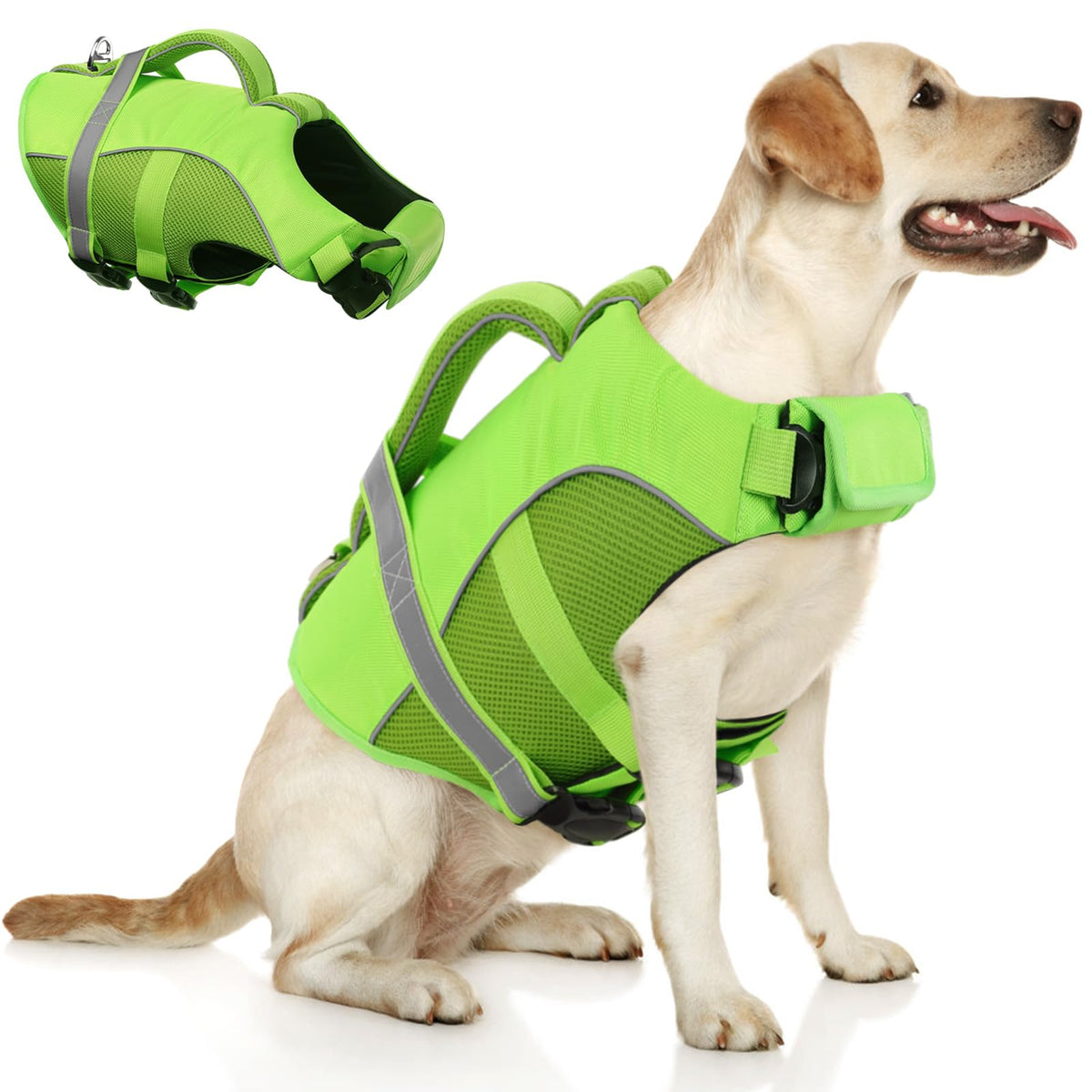 Queenmore Pet Apparel in X-Small, Green