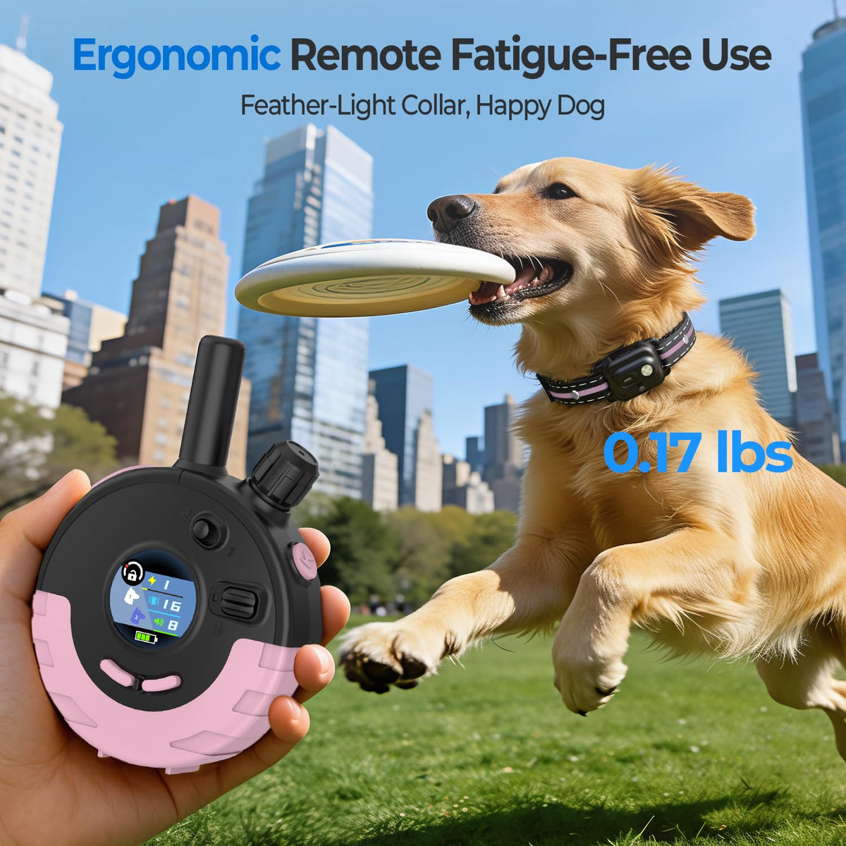 RPZ Animal Collar in 1 Receiver, Pink