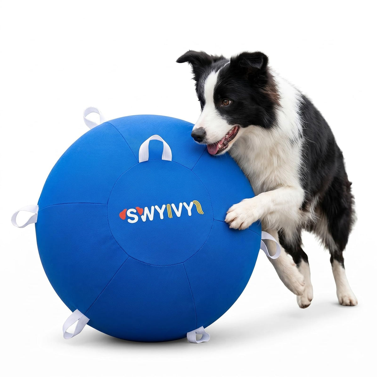SWYIVY Recreation Ball in 25 Inch, Blue with Cover
