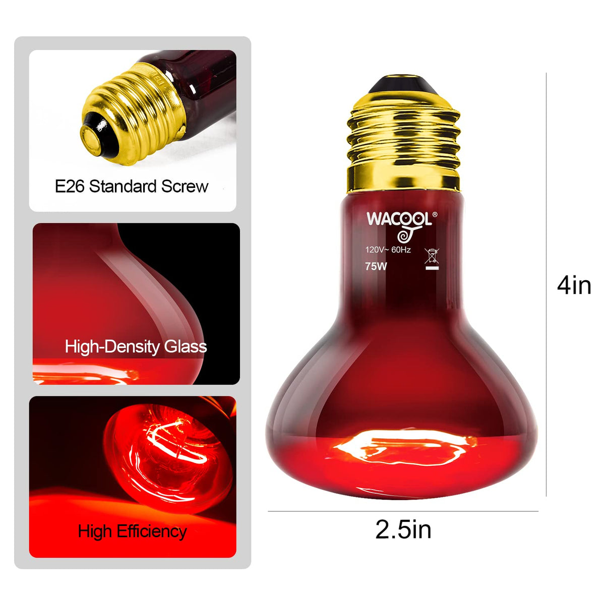 WACOOL TERRA Light Bulb in 75W, Daylight White