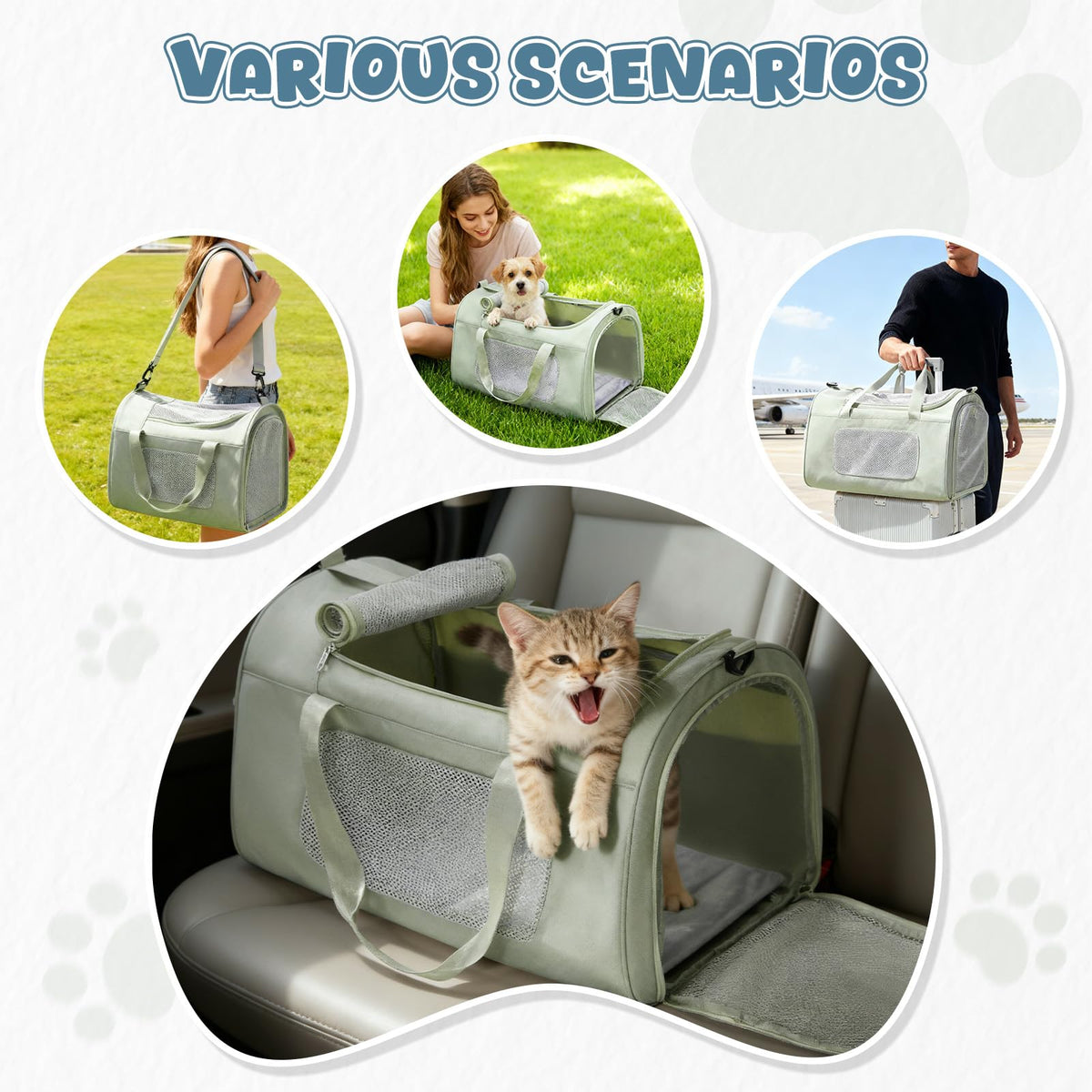 WEPLAN Animal Carrier in 17.7"L x 11.4"W x 12.5"H, A-Medium-Green