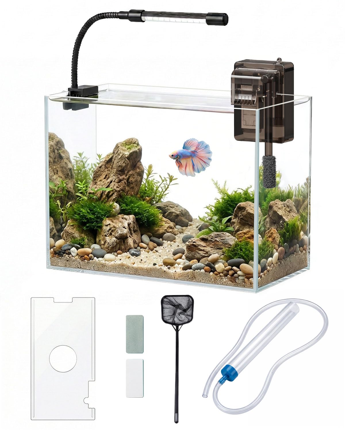 minilake Vivarium in 3 Gallon, Transparent