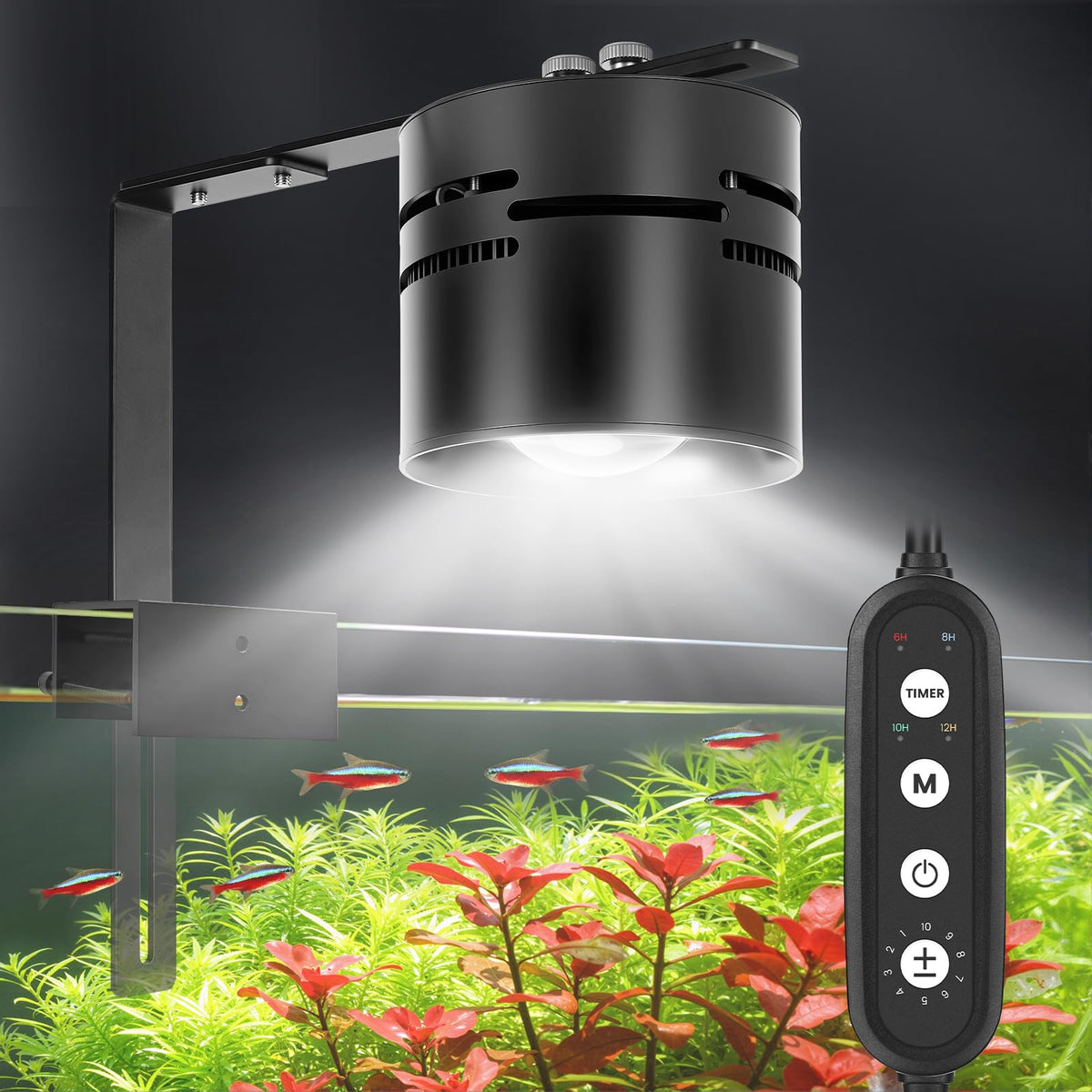 AQQA Electric Light in up to 48 Inches, Black