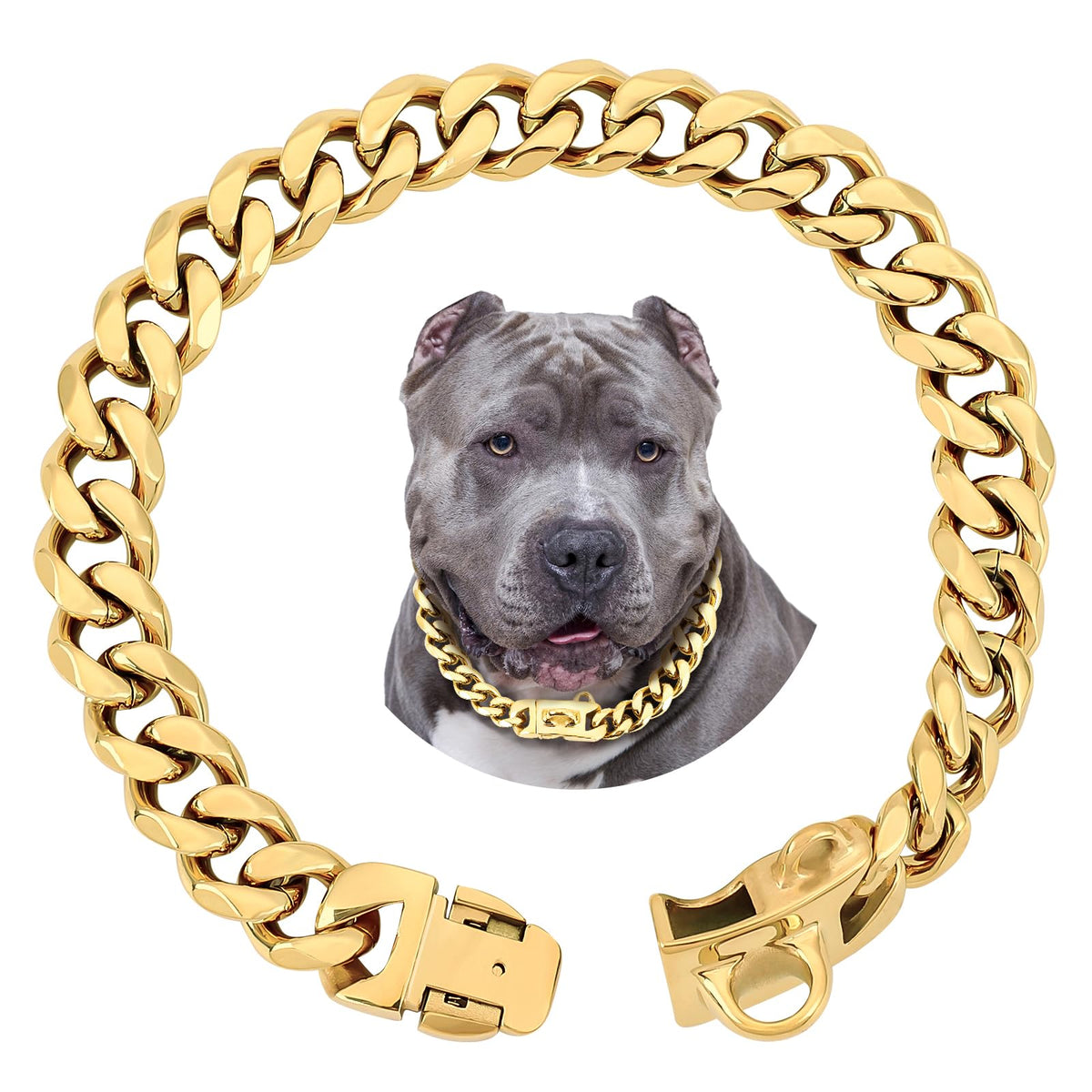 BAOBOTE Animal Collar in 12"(for 10"-11" Neck), Gold