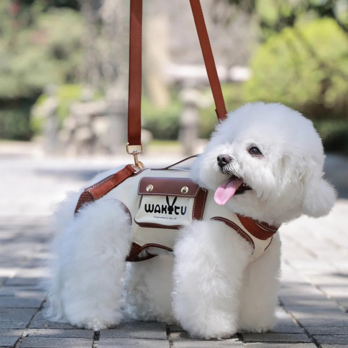 wakytu Animal Harness in X-Small(2-5 LBS), 1.0 White