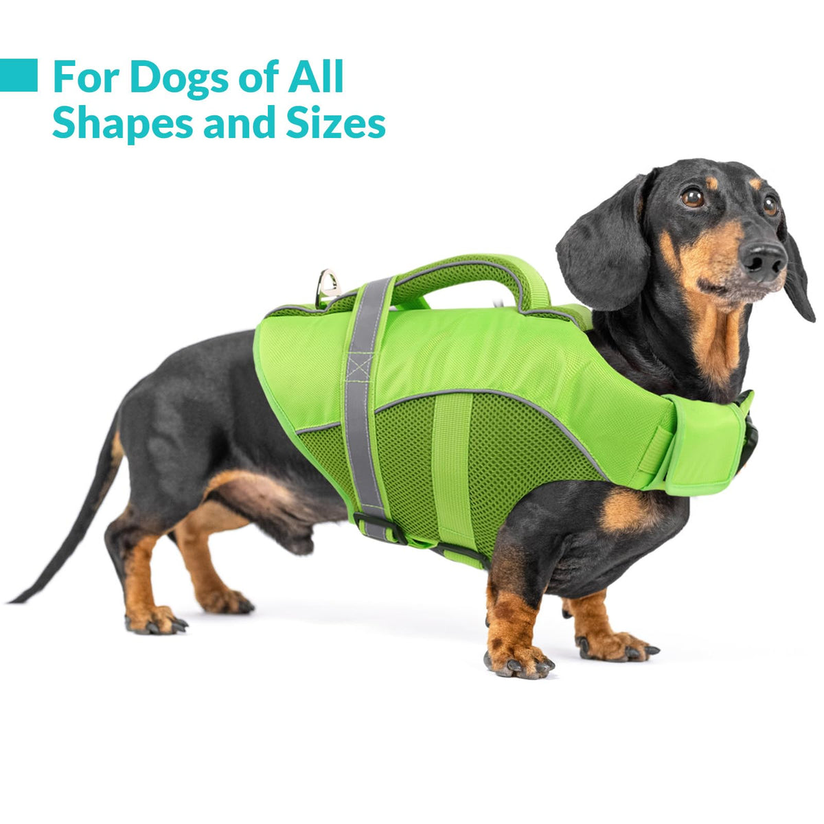 Queenmore Pet Apparel in X-Small, Green
