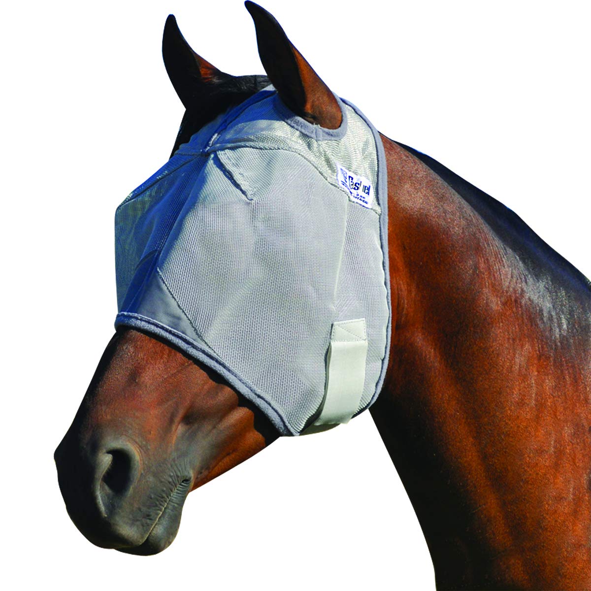Cashel Pet Pest Control in XX-Small, Blue ZigZag