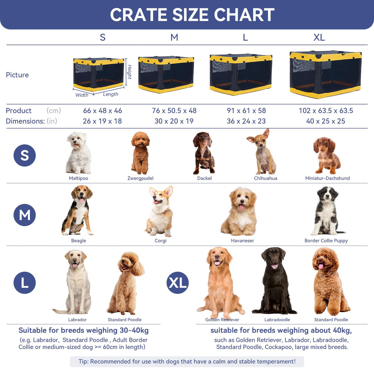 A 4 Pet Animal Cage in 30.0"L x 20.0"W x 19.0"H, Blue+Yellow