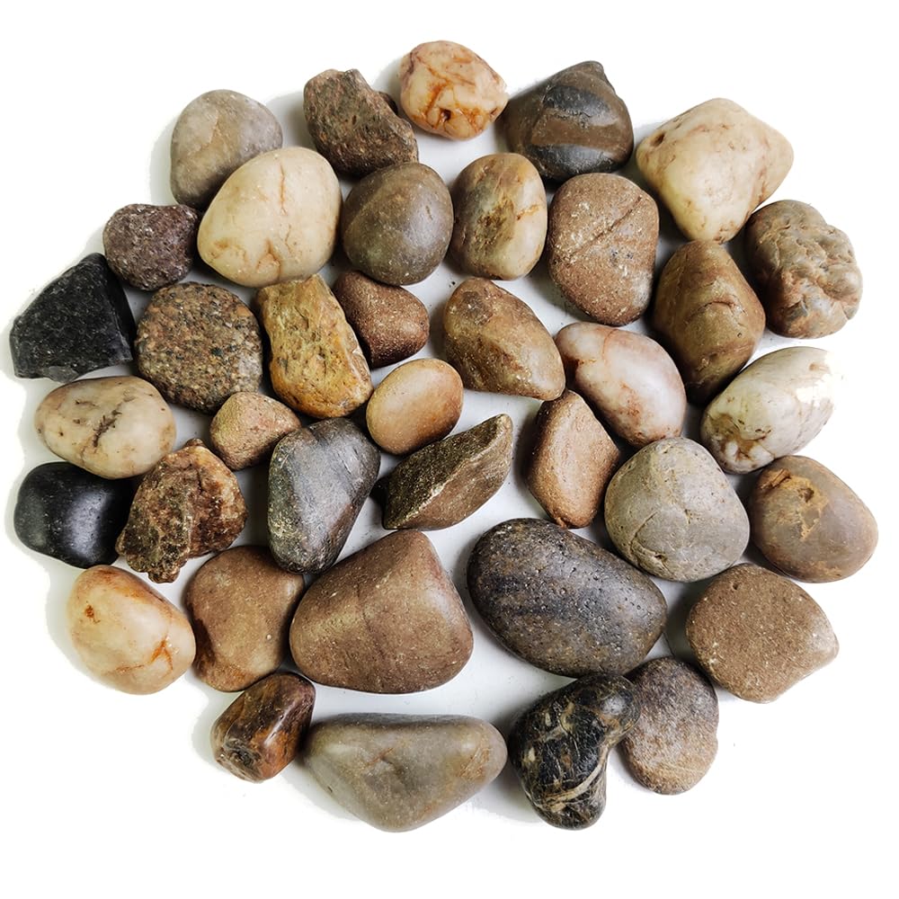 HappyFiller Outdoor Living in 2-4 cm, Mixed