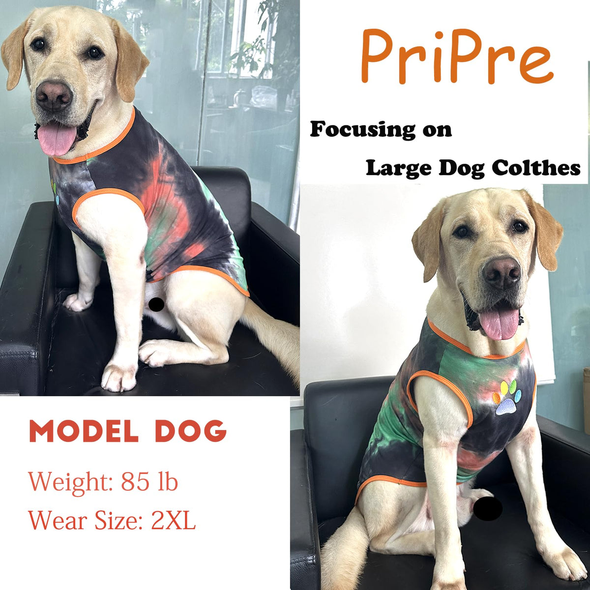 PriPre Pet Apparel in Medium, Vest Green