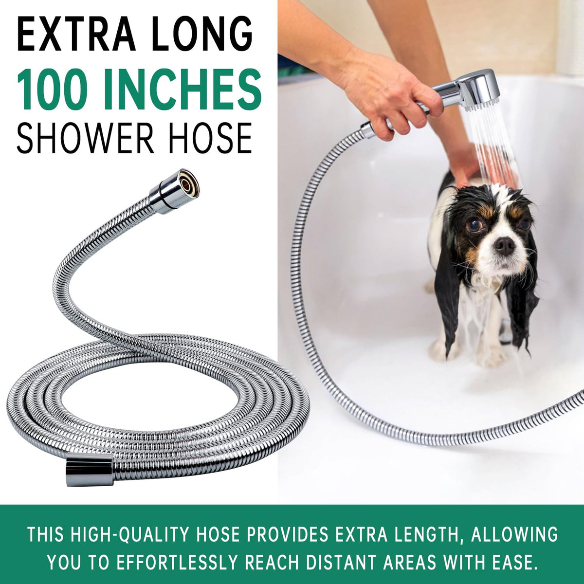 V-Frankness Showerhead in 100 Inches Hose, Polished Chrome