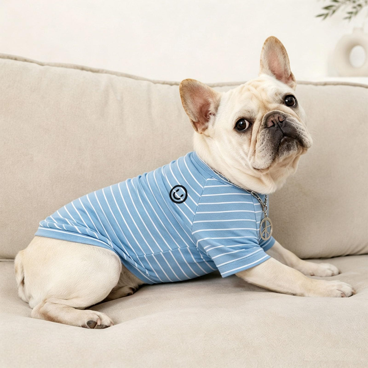 Wiz BBQT Pet Apparel in Pet XS - Chest 11.8", Blue