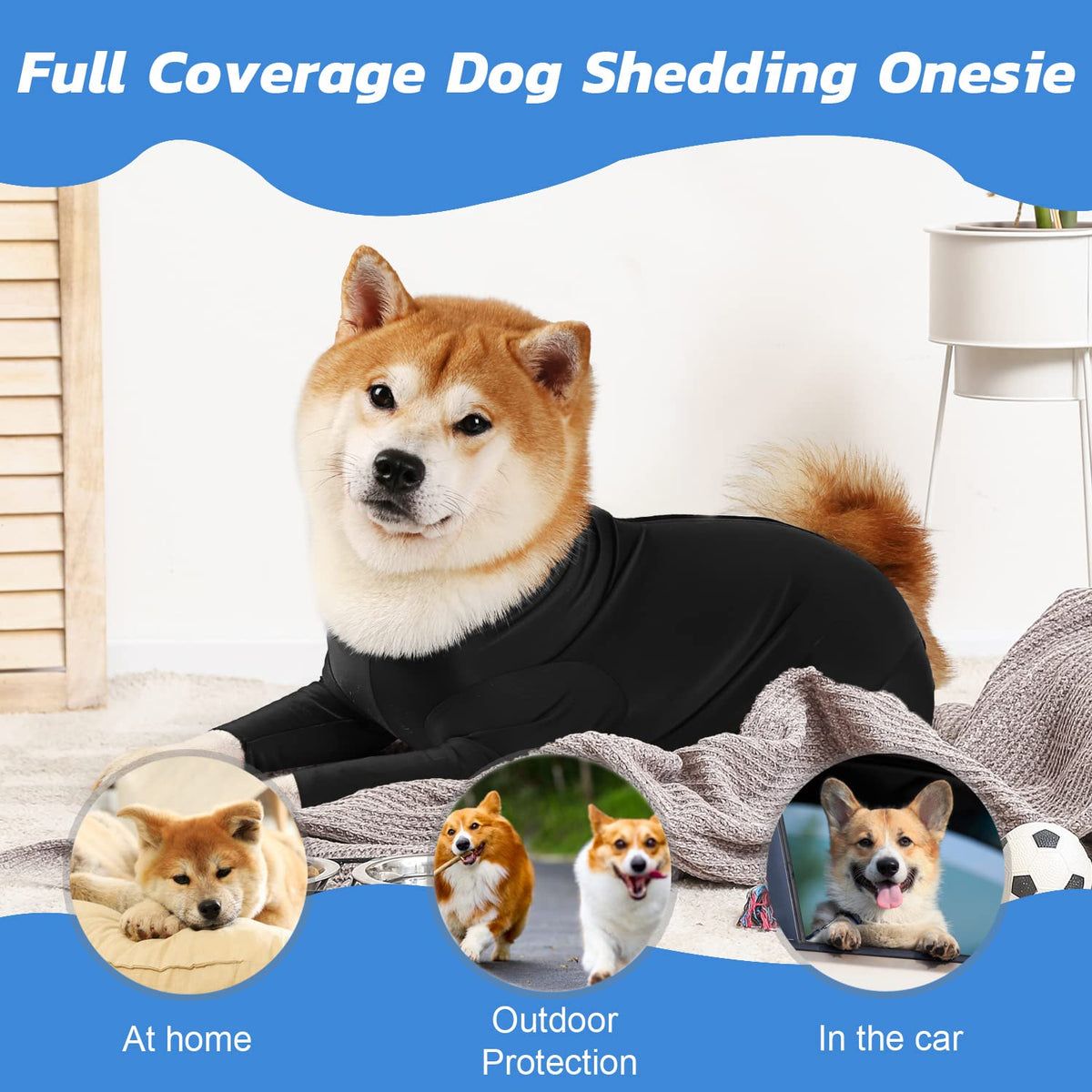 Etdane Pet Apparel in X-Small, Black