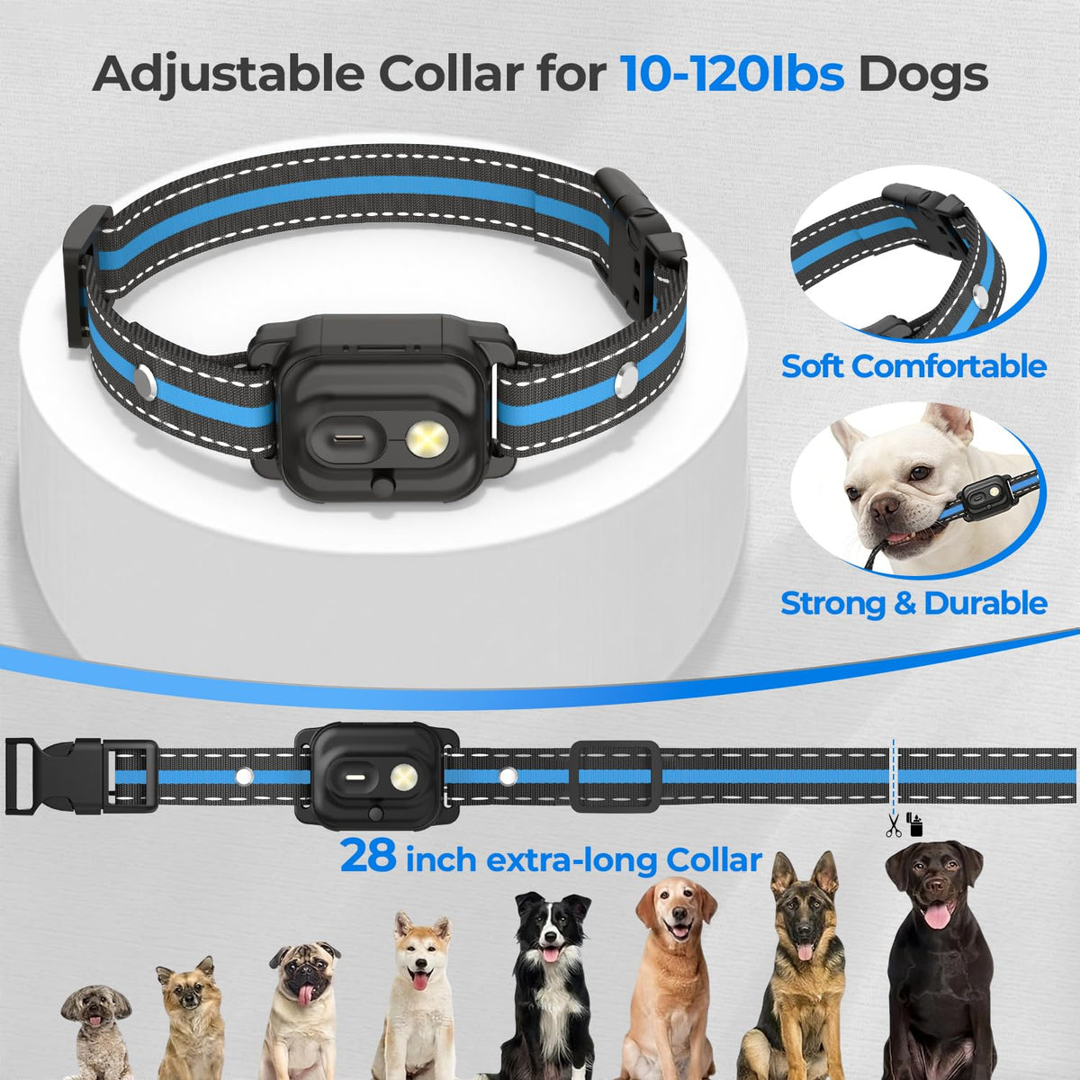 RPZ Animal Collar in 1 Receiver, Blue