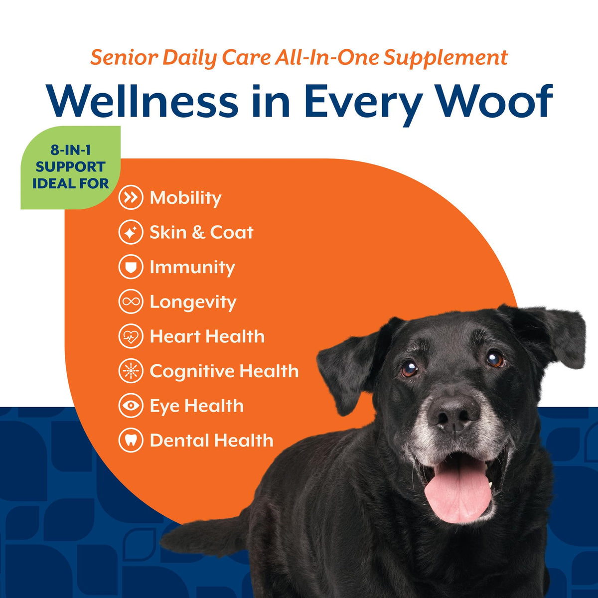 NaturVet Animal Vitamin in Senior- 60 Soft Chews, Life Stages