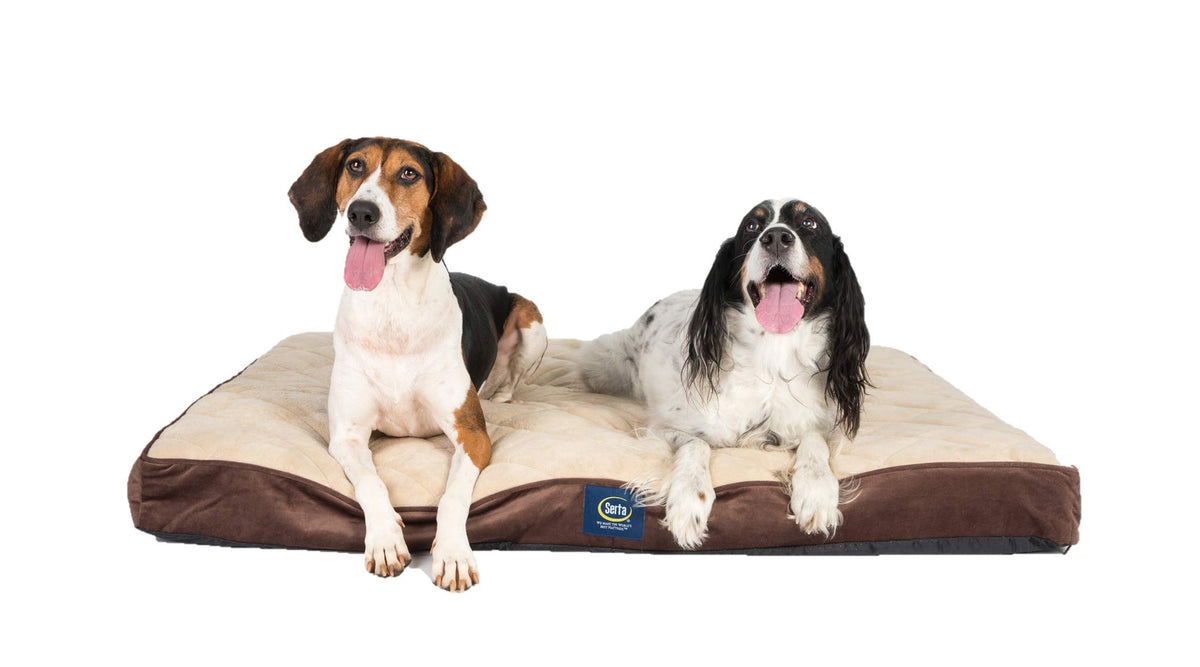Serta Pet Bed Mat in Large, Brown