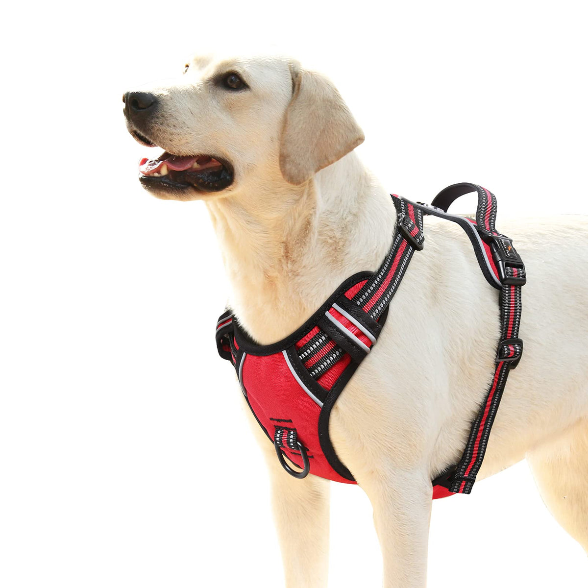 HEELE Animal Harness in L, Red