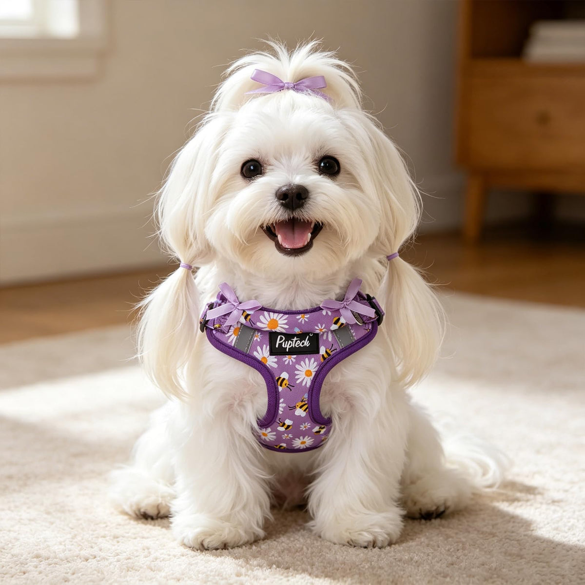 PUPTECK Animal Harness in XS (9-13lbs, Chest 14"-16"), #2 Purple(Daisy Print)