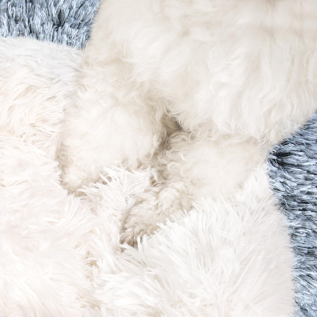 NOYAL Pet Bed Mat in X-Small 15.7'', Gradient Dark grey