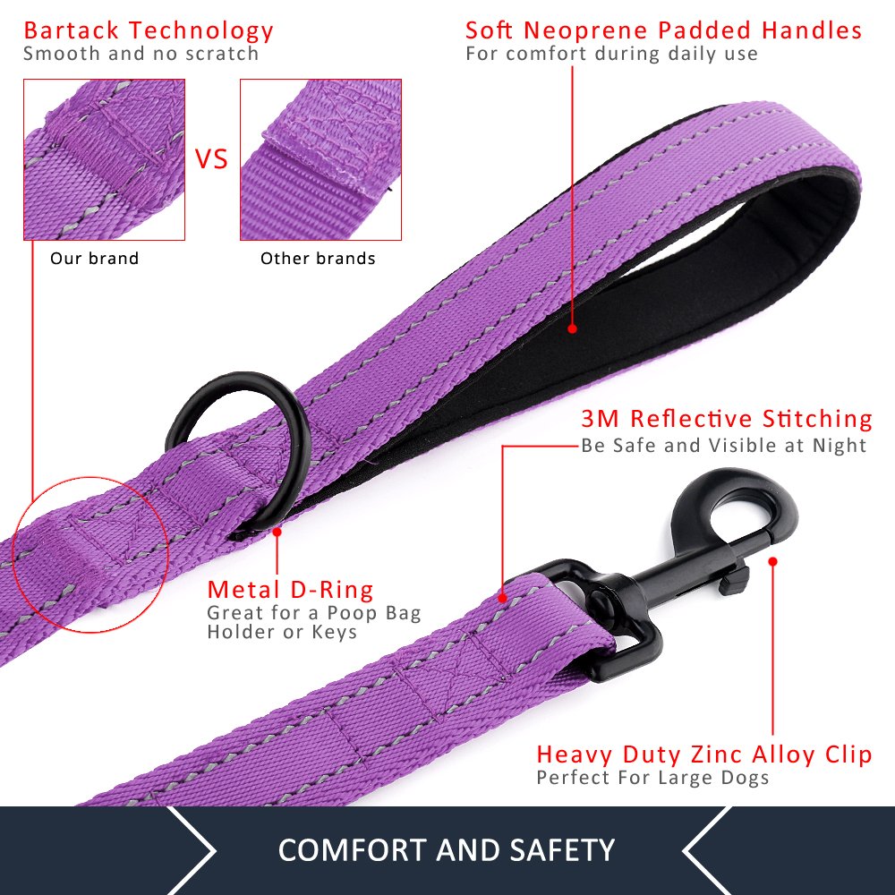PLUTUS PET Leash in 4 FT, Purple