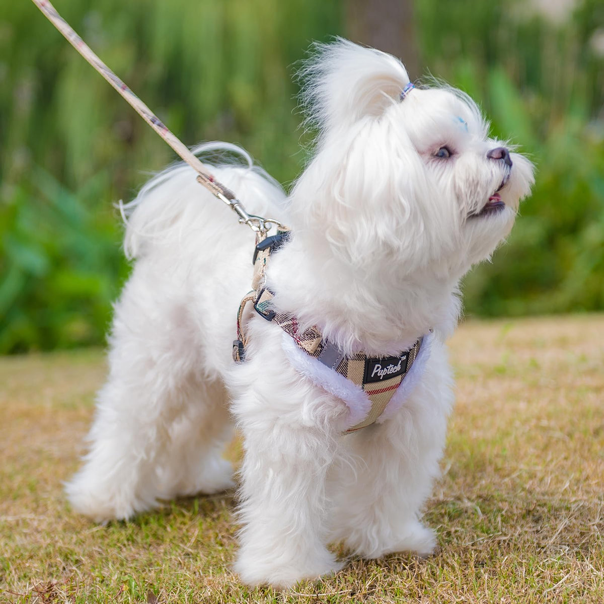 PUPTECK Animal Harness in XS (9-13lbs, Chest 14"-16"), #3 Beige(Plush Plaid)
