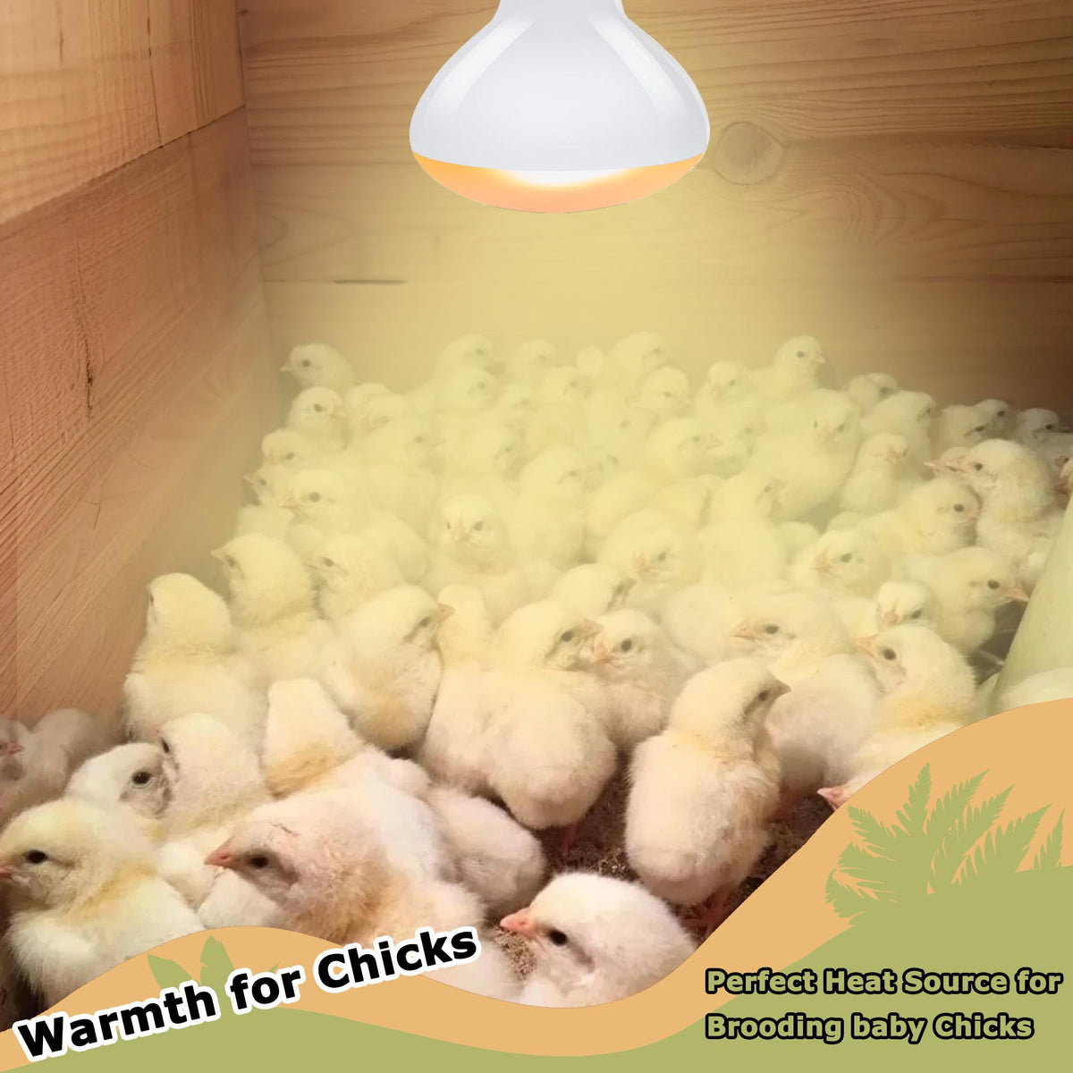 HARTOMPET Light Bulb in 60W - 2.5", Yellow