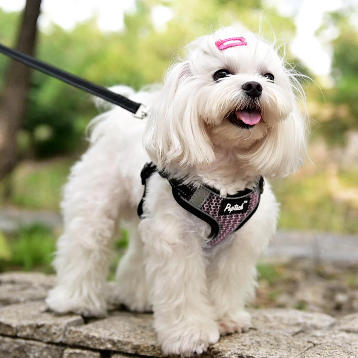 PUPTECK Animal Harness in S (13-17lbs, Chest 15"-18"), #1 LightPink(Breathable Mesh)
