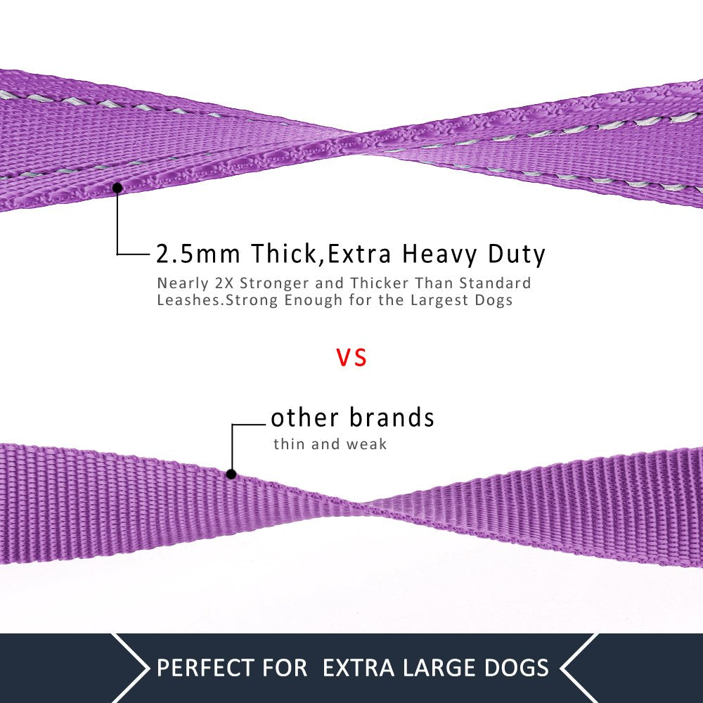 PLUTUS PET Leash in 4 FT, Purple