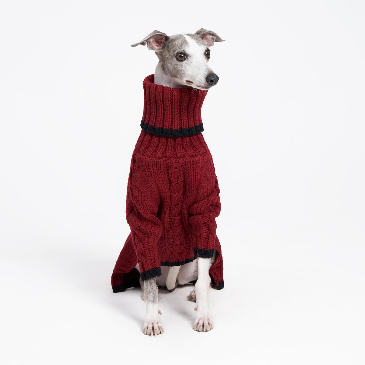 ESCCBOO Pet Apparel in Small, Red
