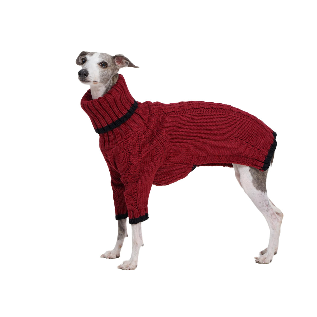 ESCCBOO Pet Apparel in Medium, Red
