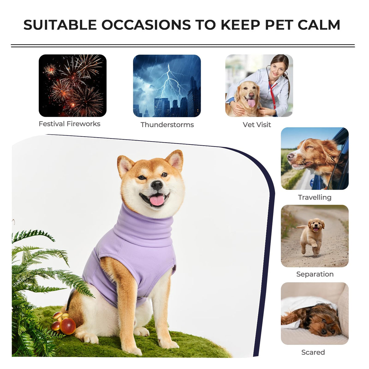 Haloumoning Pet Apparel in X-Small, Purple