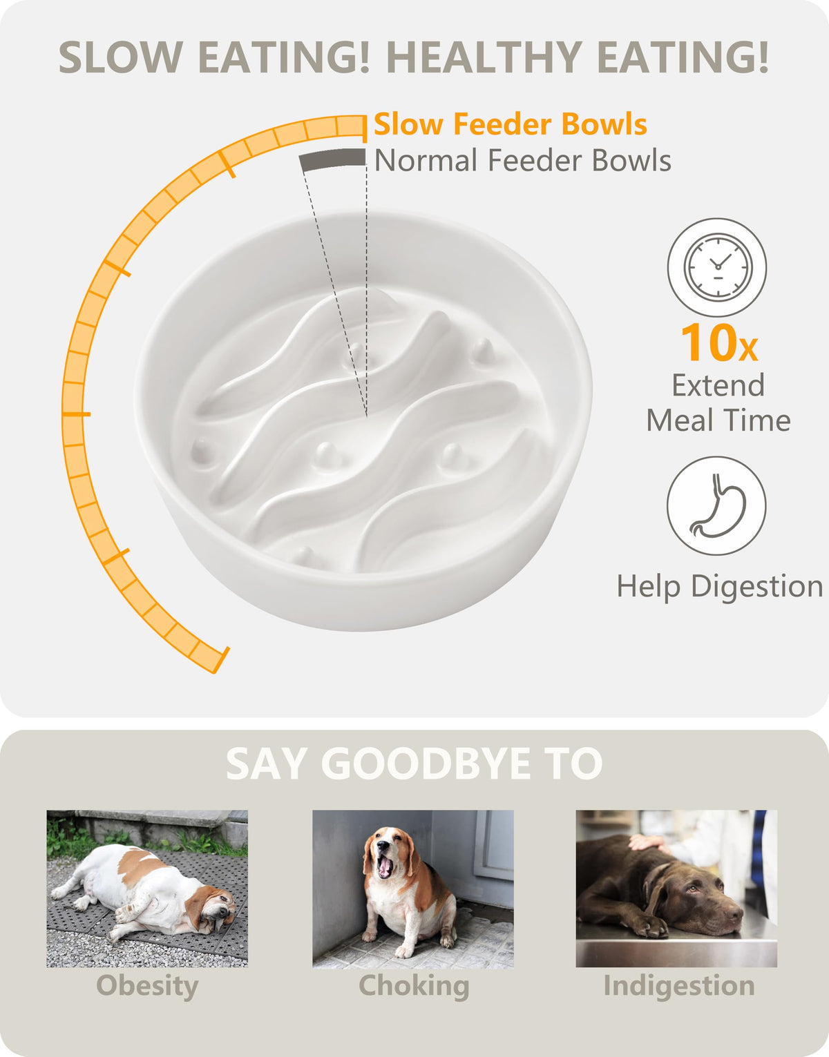 MOPANG Pet Feeder in 6 Inches, White