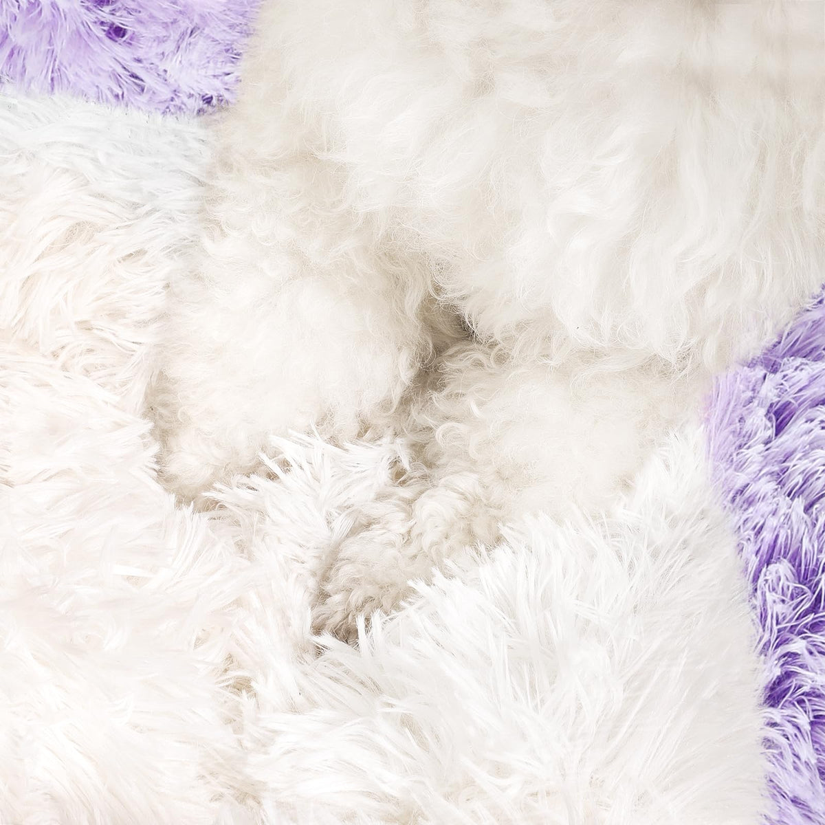 NOYAL Pet Bed Mat in X-Small 15.7'', Gradient Purple