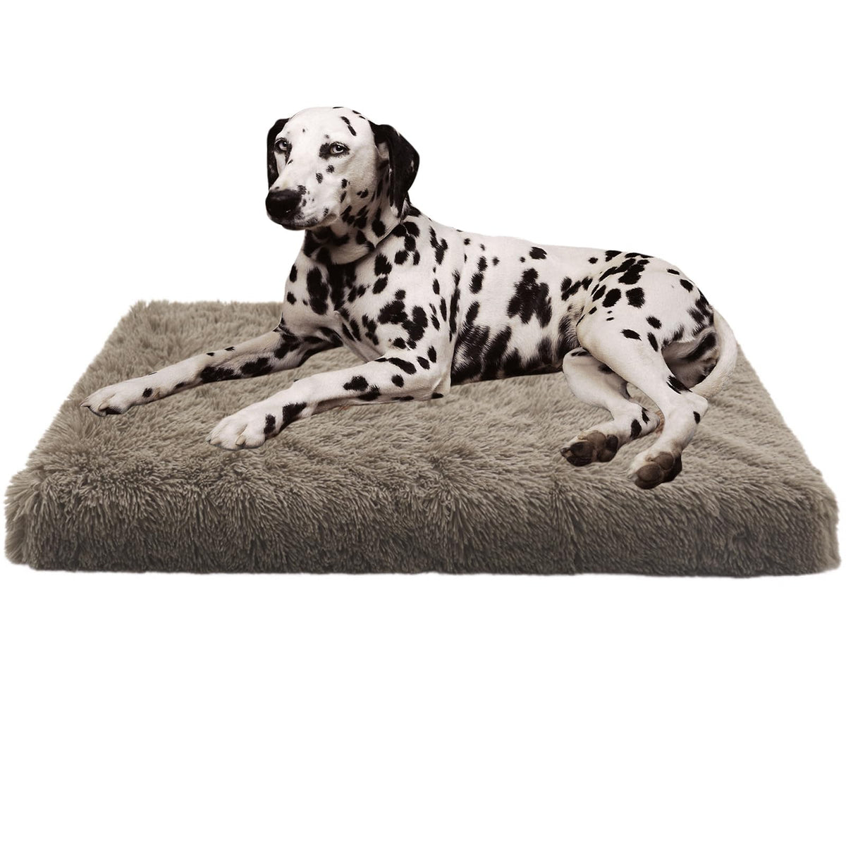 BECNBEAU Pet Bed Mat in S, Khaki