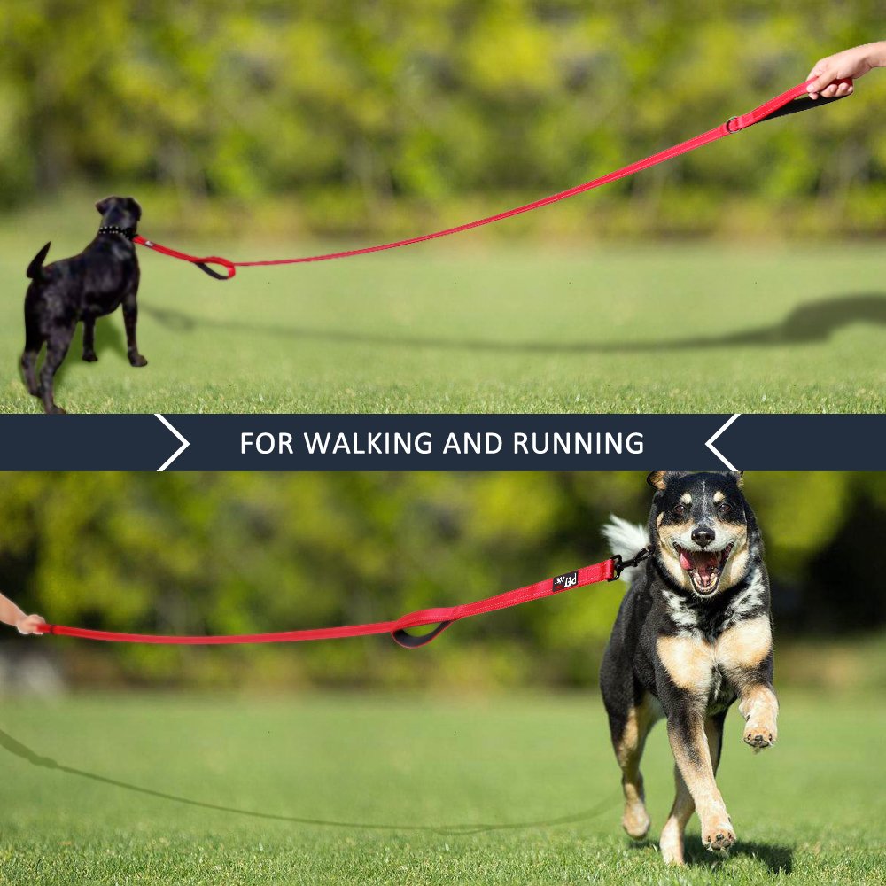PLUTUS PET Leash in 4 FT, Red