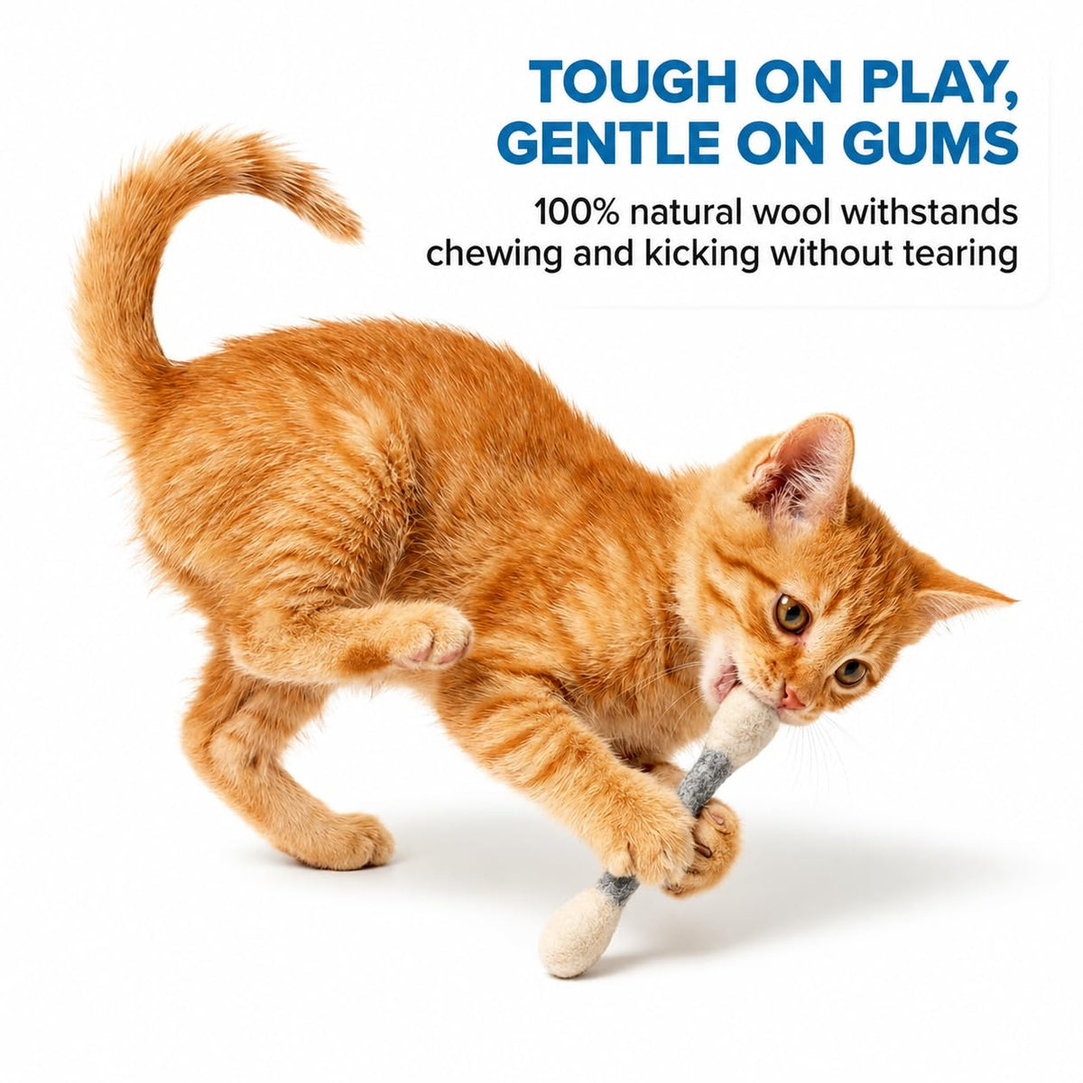 Glaciart One Pet Toy in Mini, Grey Swabs