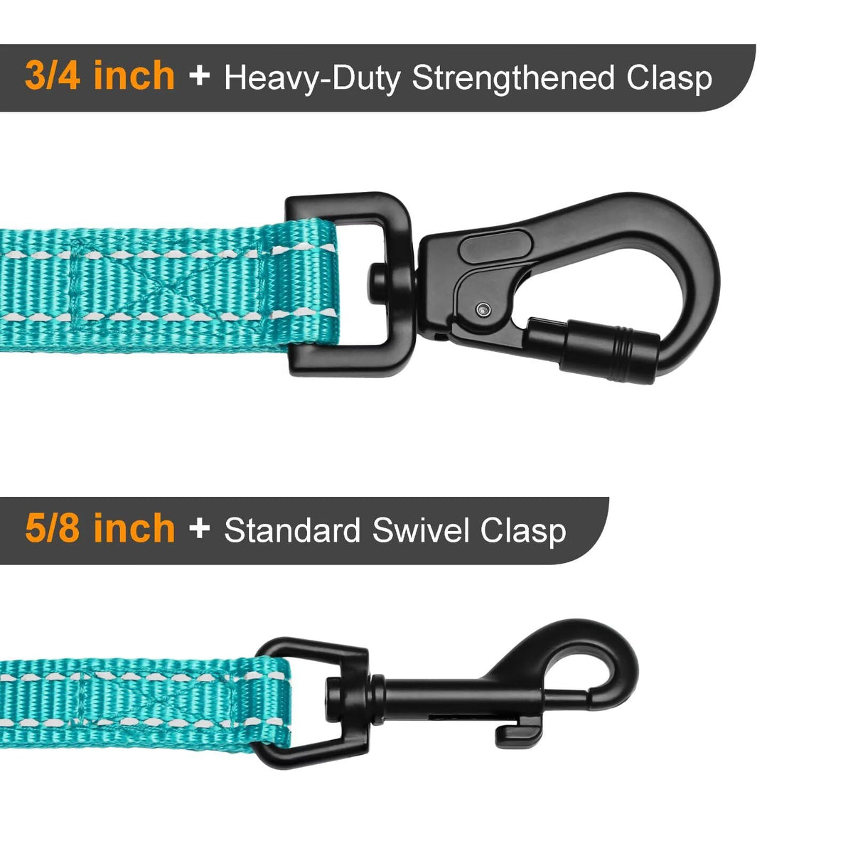 Didog Leash in 3/4''x 6 FT, Teal