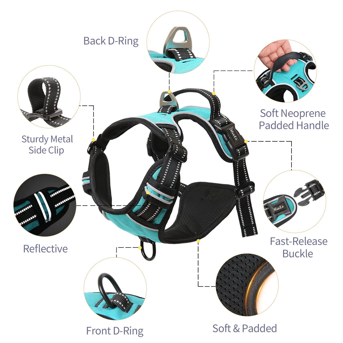 HEELE Animal Harness in S, Turquoise