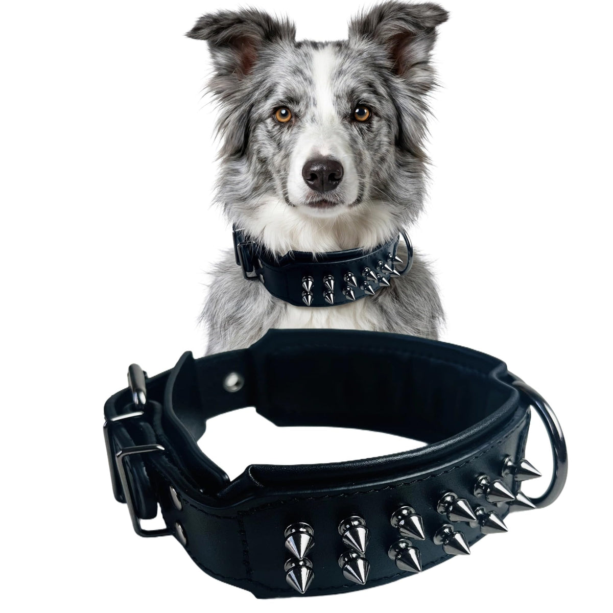 Molteriqo Animal Collar in L-neck 39-47cm, Black