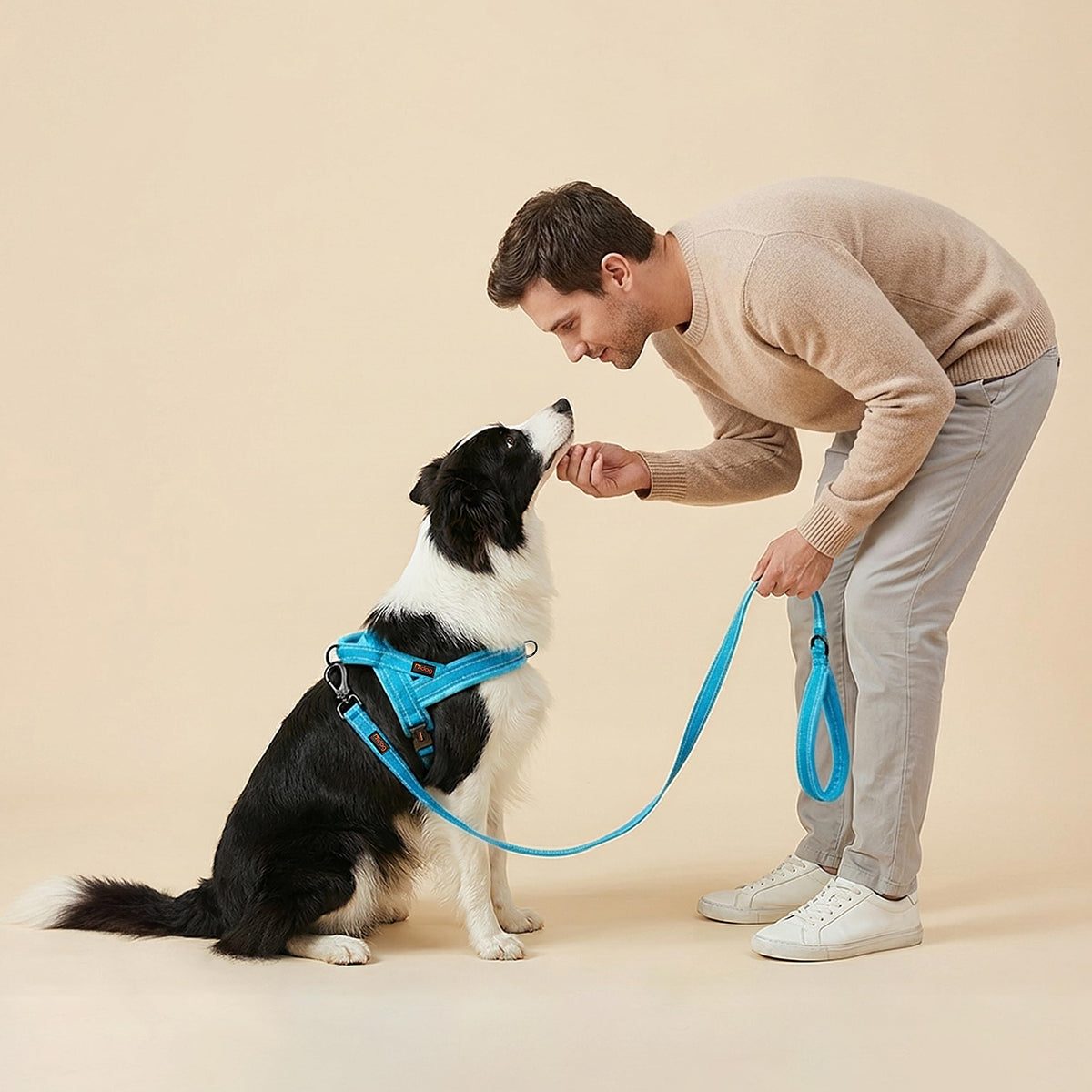 Didog Leash in 3/4''x 4 FT, Blue