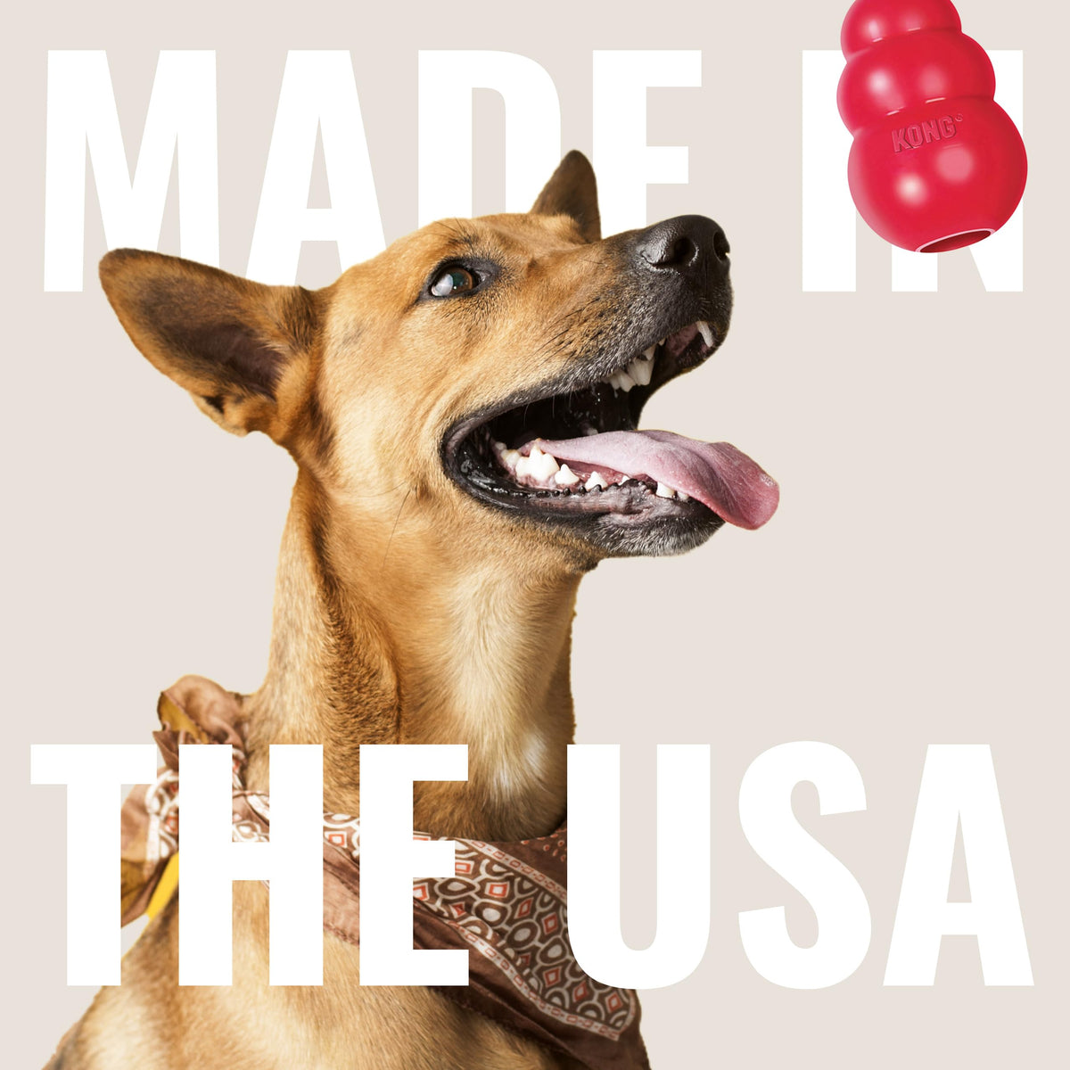 KONG Pet Toy in Large (Pack of 1), Red