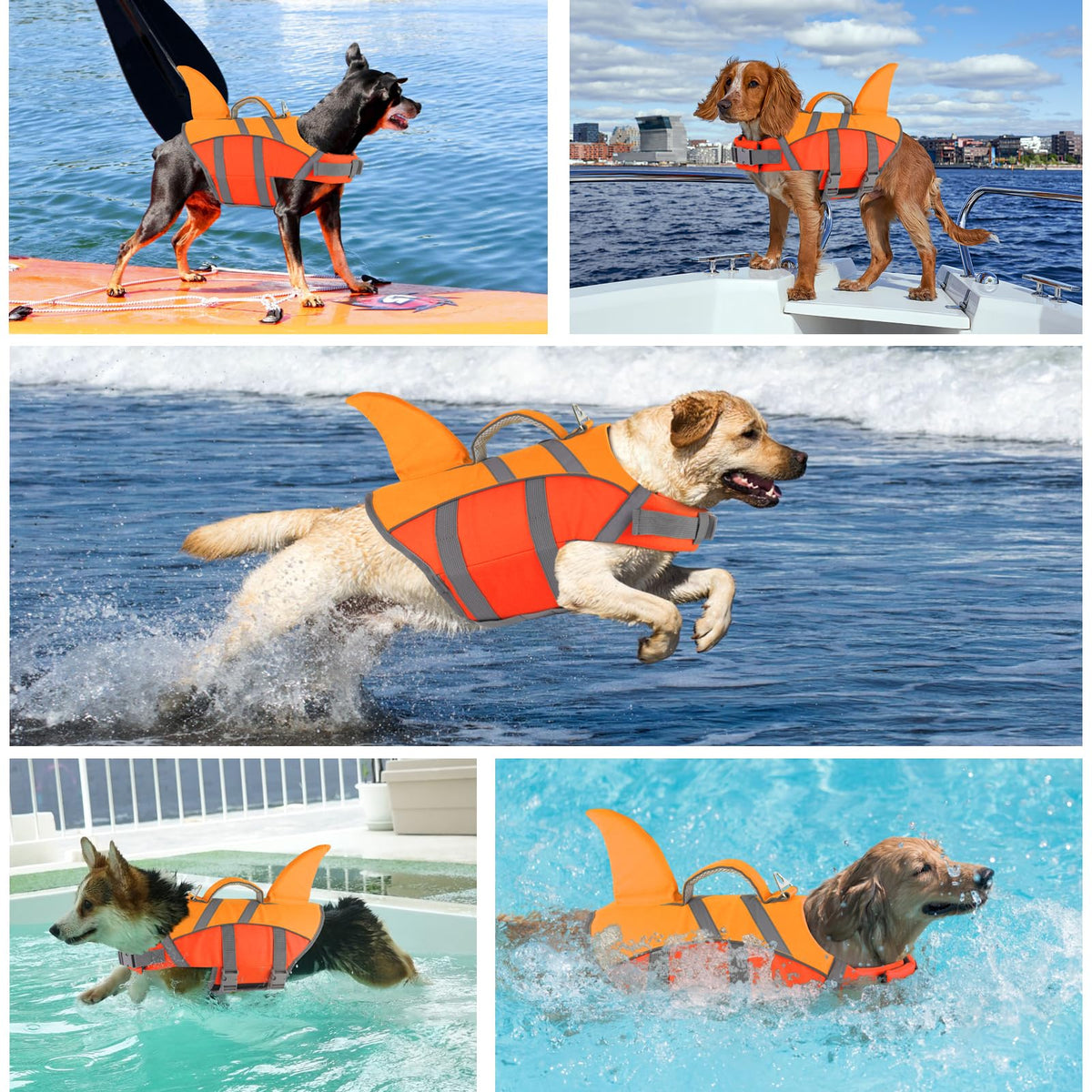 Doglay Pet Apparel in X-small, Orange+Dark Orange