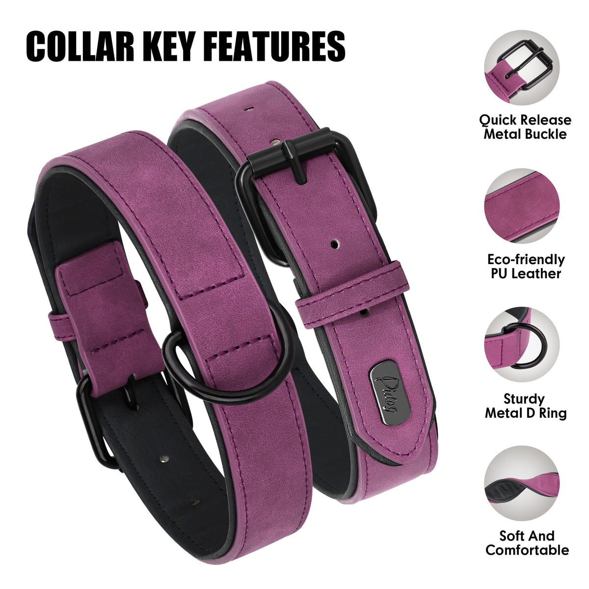 Didog Animal Collar in M: Fit Neck 11-14"(10-20 lbs), Purple