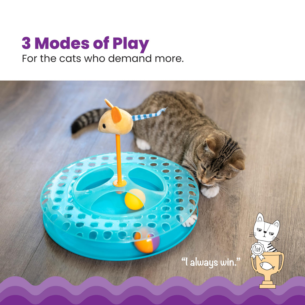 Catstages Pet Toy in One-Size, Cheese Chase