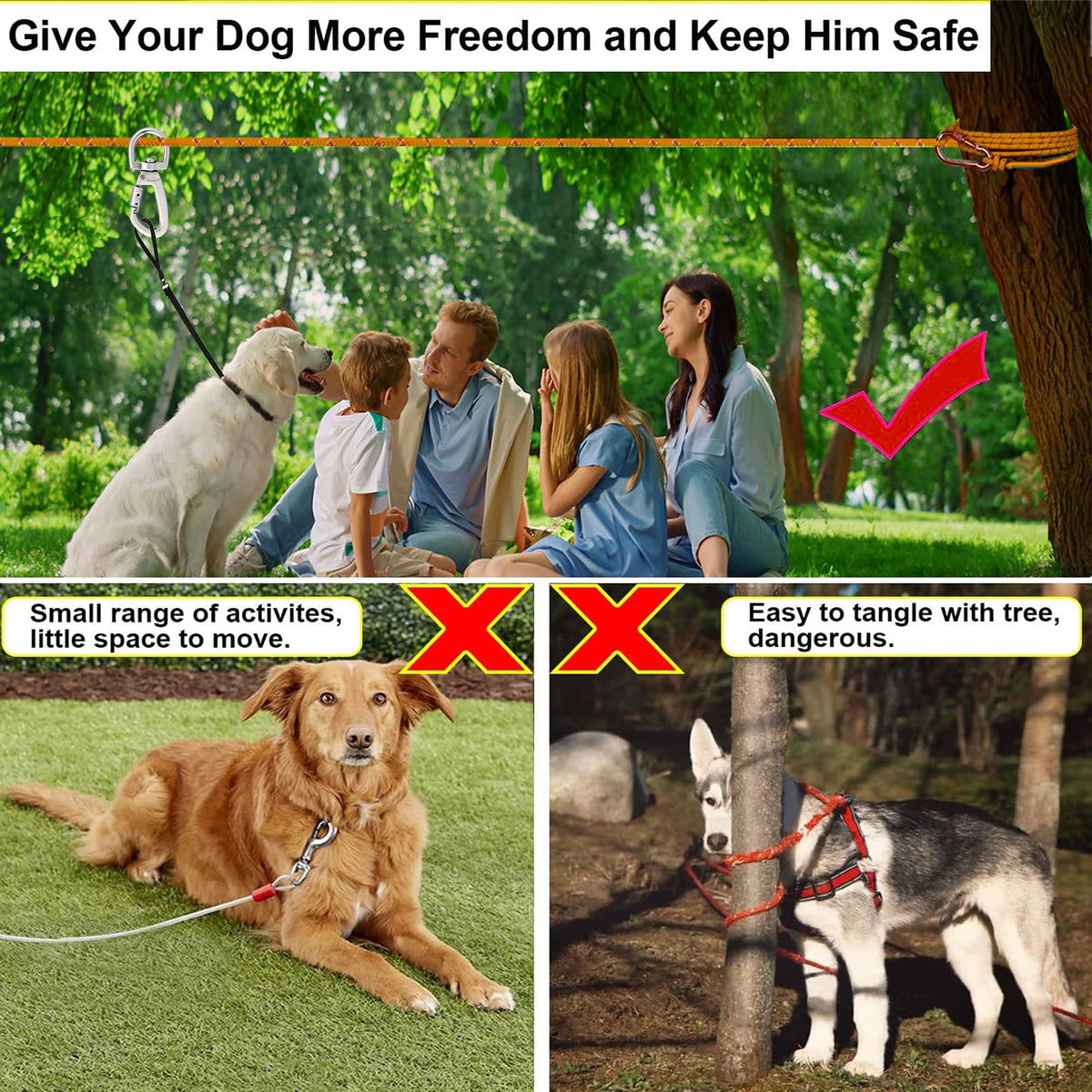 SIAELT Leash in 50Ft, Orange