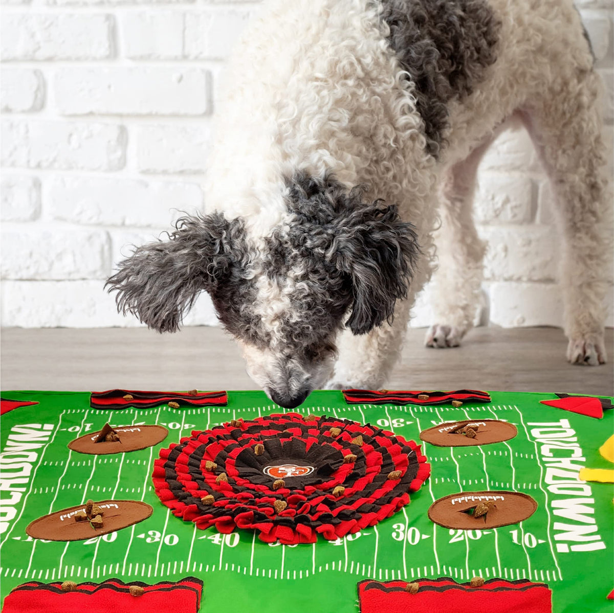 Pets First Pet Feeder in 40 x 26 Inches, SAN FRANCISCO 49ERS